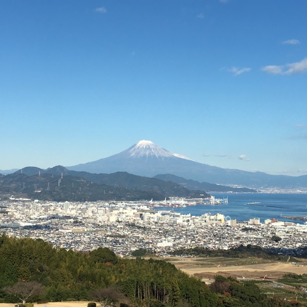 富士山きれいでした